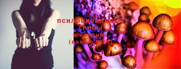 PSILOCYBIN Богородицк