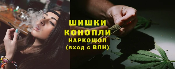 PSILOCYBIN Богородицк