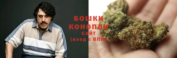 PSILOCYBIN Богородицк