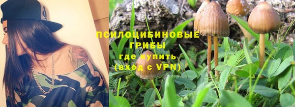 PSILOCYBIN Богородицк