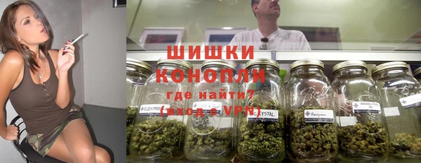 PSILOCYBIN Богородицк