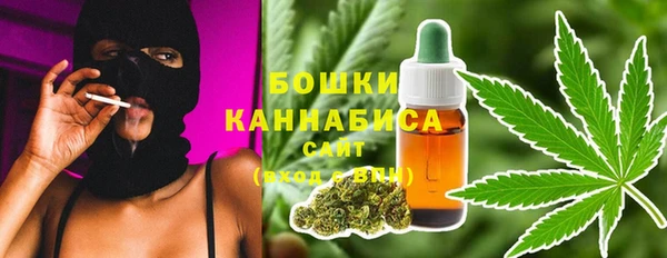 PSILOCYBIN Богородицк