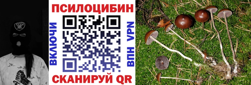 Псилоцибиновые грибы Cubensis  OMG как зайти  Курган  купить  цена 